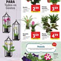 Antevisão FolhetoLIDL Promoções de 1 a 7 março d30.jpg